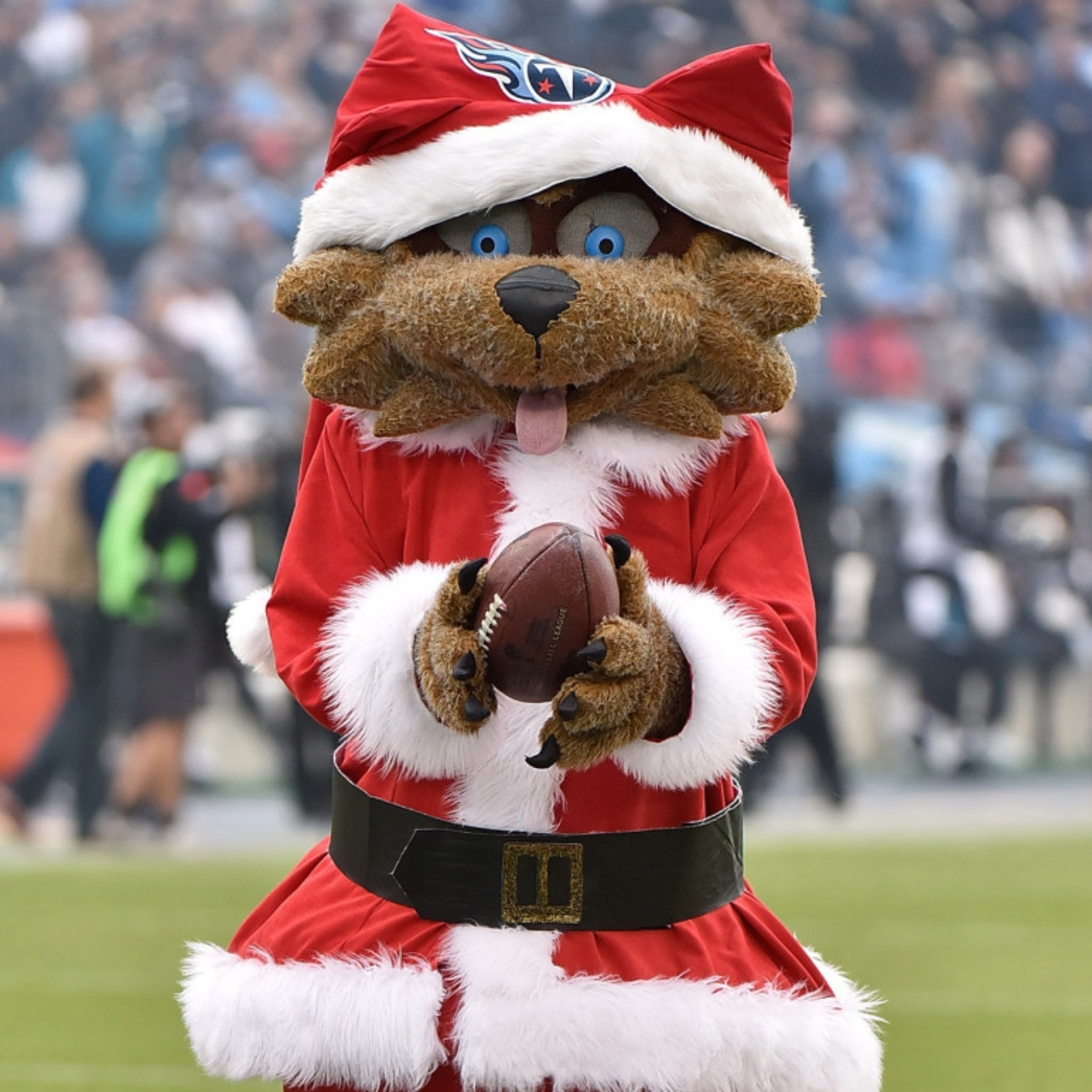 Professional sports team mascot Santa hat with official logo